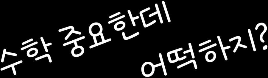 수학 중요한데 어떡하지?